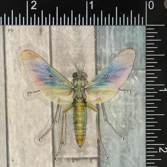 🌀10/$10🌀 Translucent Moth Dragonfly Beetle Reusable Waterproof Sticker Decal - Picture 1 of 1